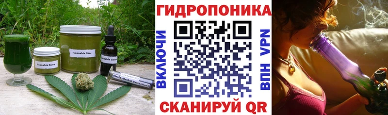 Cannafood конопля  Шумерля 