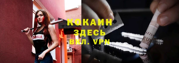 индика Абинск