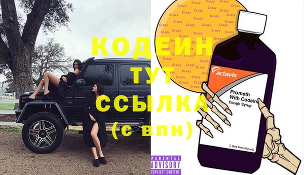 индика Абинск