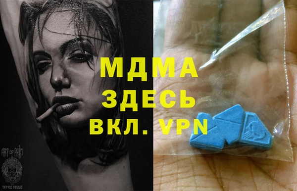 индика Абинск